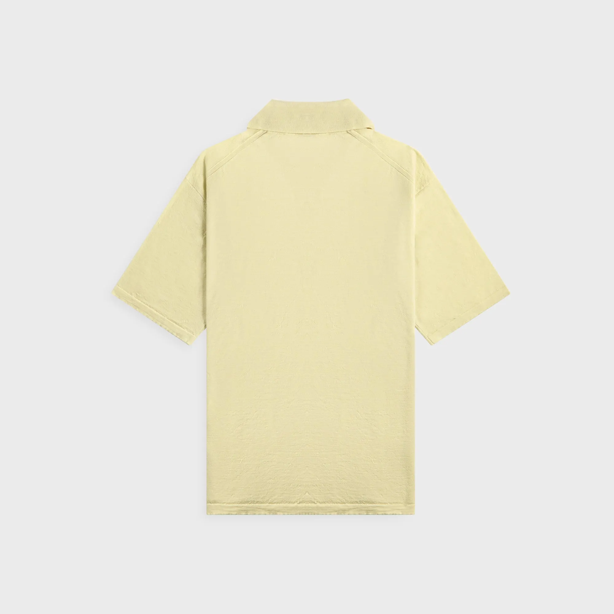 Auralee Product Dyed Wool Knit Polo - Light Pistahio Auralee Clothing