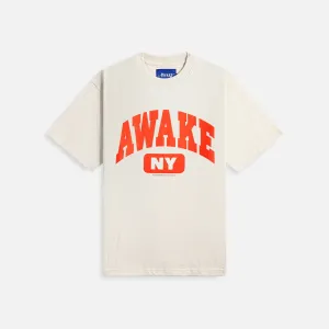 Awake NY Varsity Tee - Charcoal Heather Awake NY Clothing