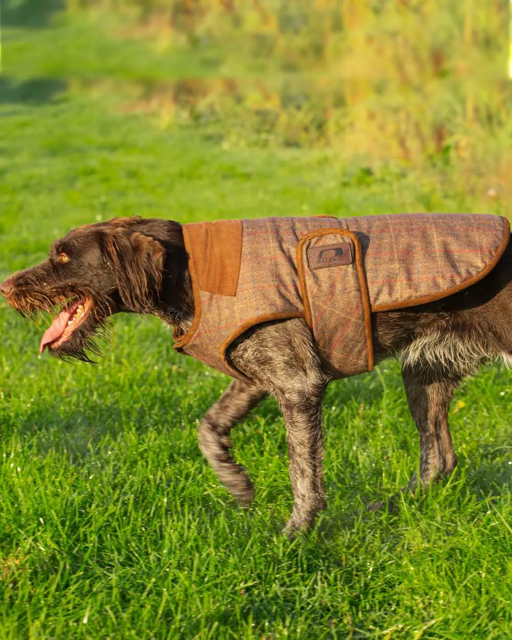 Baleno Bobby Printed Tweed Dog Coat Baleno Clothing