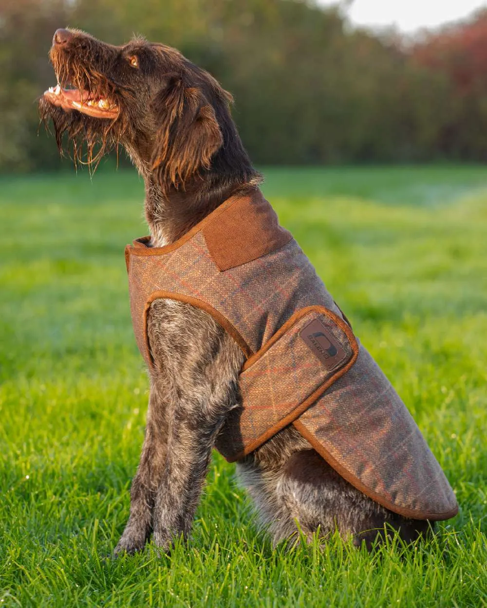 Baleno Bobby Printed Tweed Dog Coat Baleno Clothing