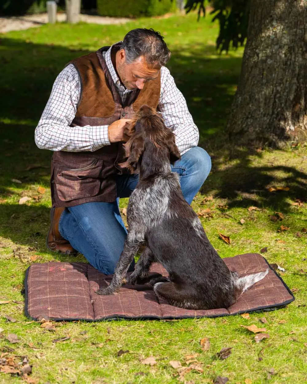 Baleno Dog Bed Baleno Clothing