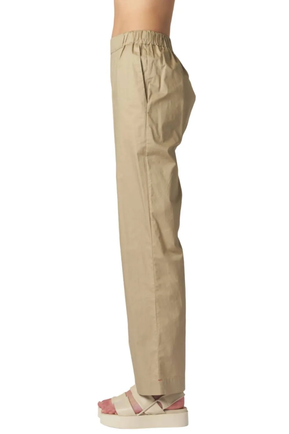 Demsey Pant In Birch