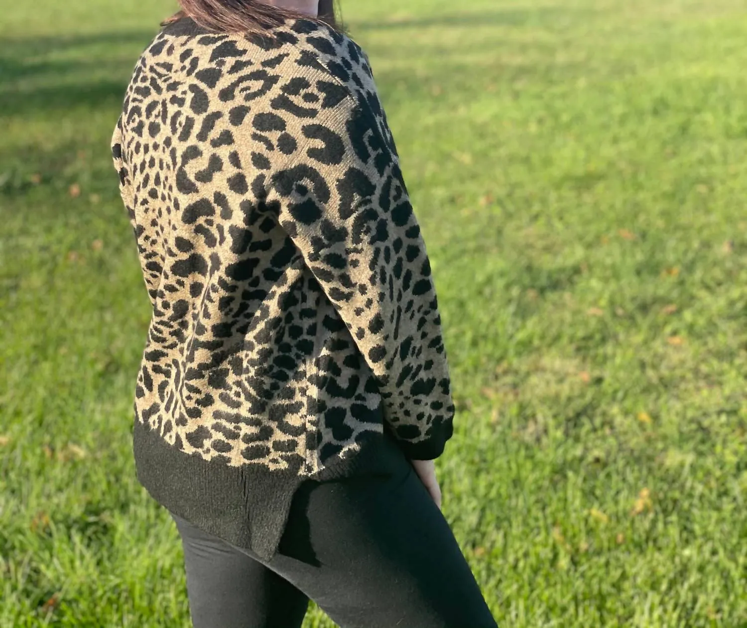 Leopard Print V Neck Sweater In Black