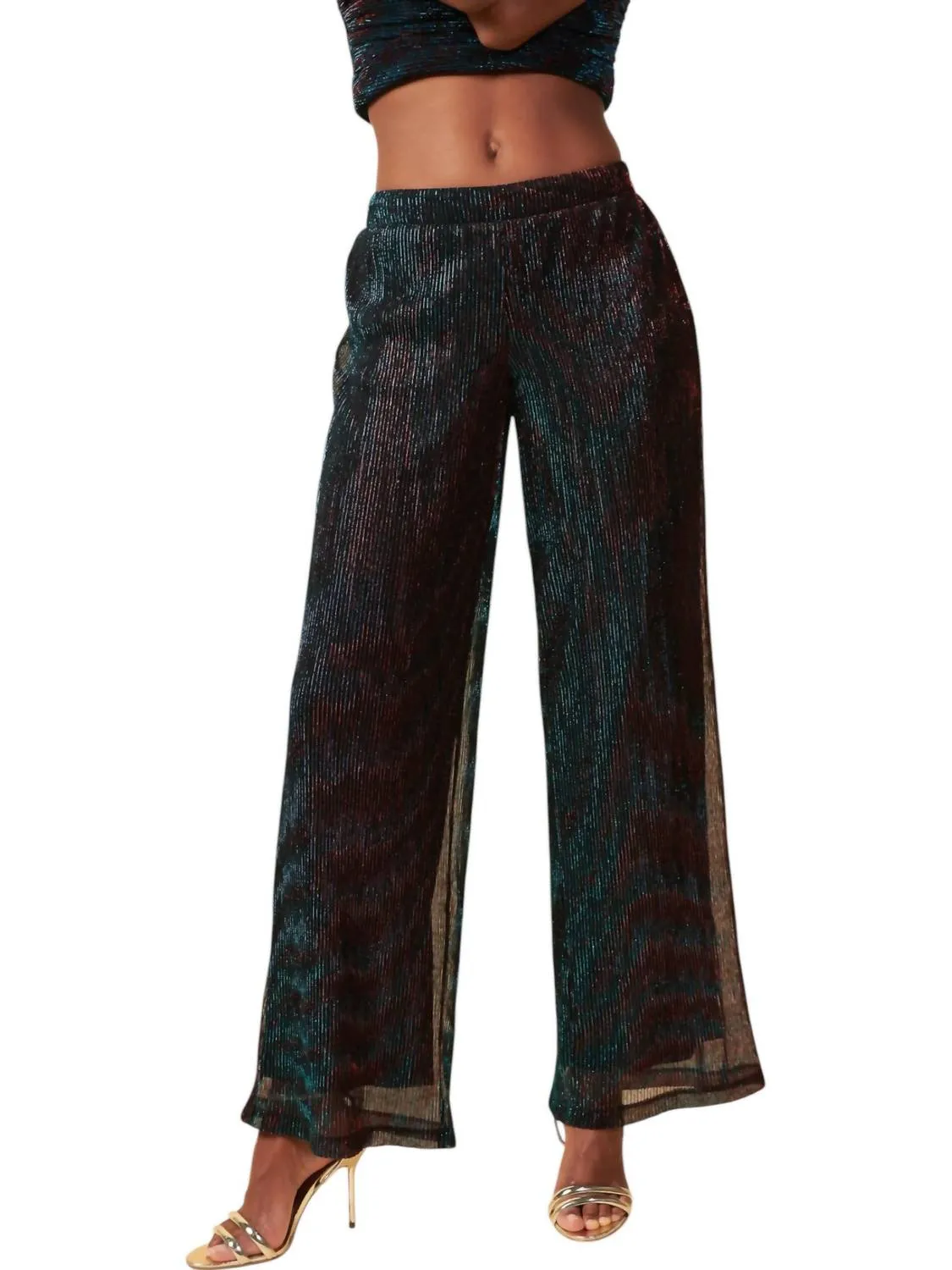 Sparkly Metallic Mesh Pants In Black Teal