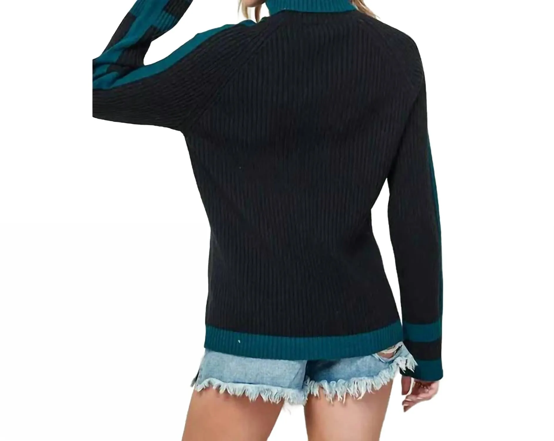 Turtleneck Contrast Sweater In Black