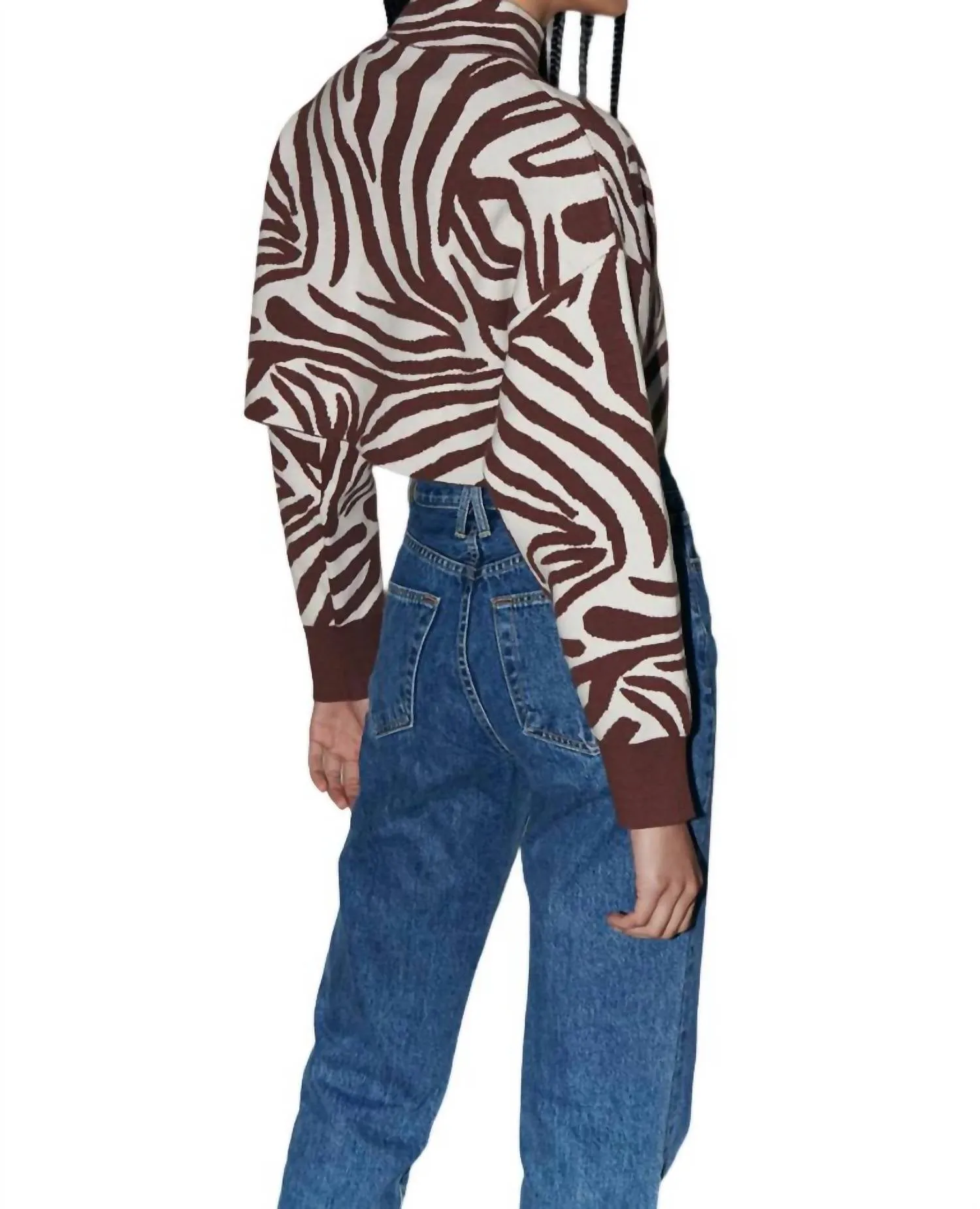 Weylyn Sweater In Brown